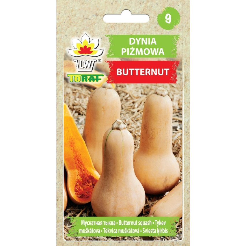 W1245 DYNIA PIŻMOWA BUTTERNUT CUCURBITA MOSCHATA NASIONA DYNI DELIKATNY SMAK 5G