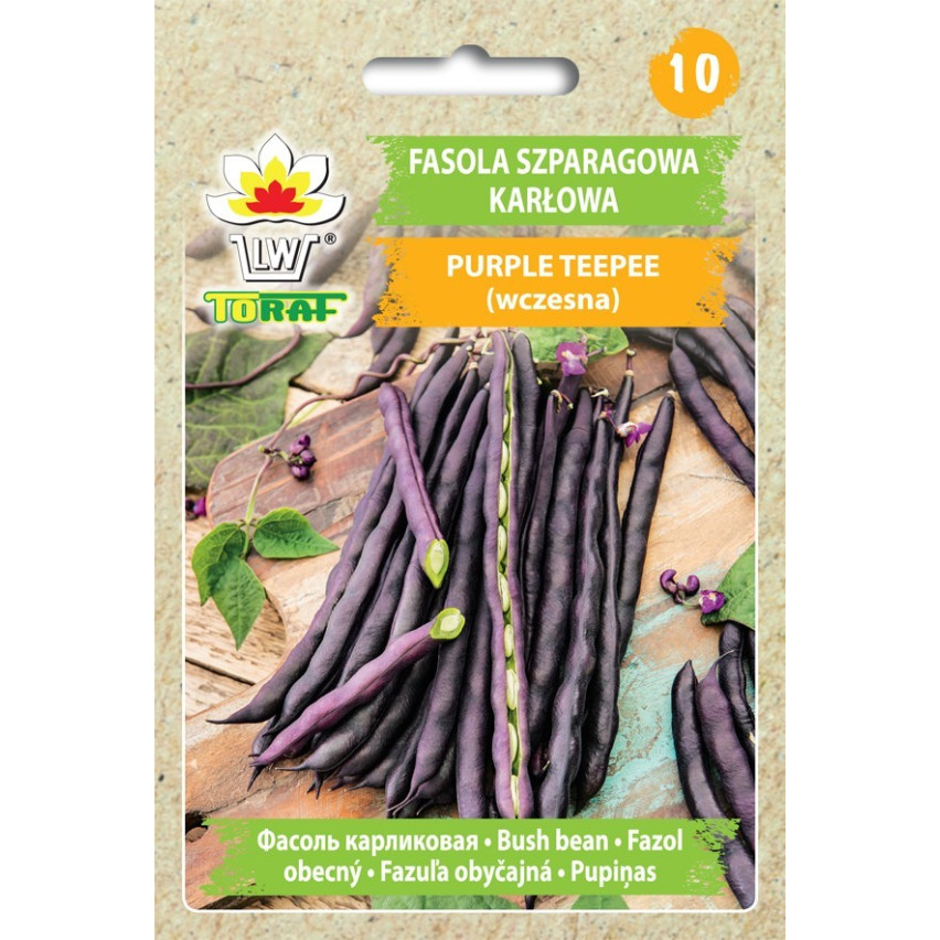 W6991 FASOLA SZPARAGOWA KARŁOWATA PURPLE TEEPEE NASIONA WARZYW FASOLI 30G