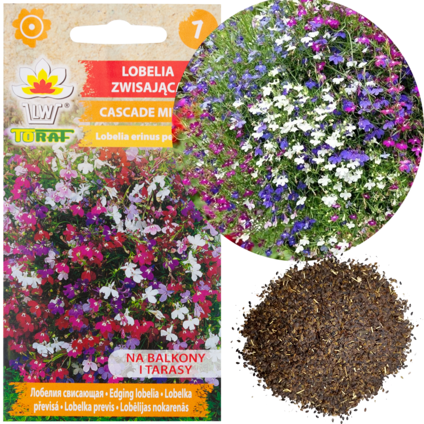 R5837 LOBELIA ZWISAJĄCA CASCADE MIXED 0,1G NASIONA KWIATÓW LOBELII MIESZANKA