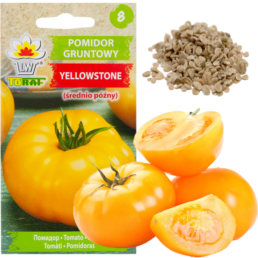 W1265 POMIDOR GRUNTOWY WYSOKI YELLOWSTONE NASIONA POMIDORA SOCZYSTY DUŻY 0,3G