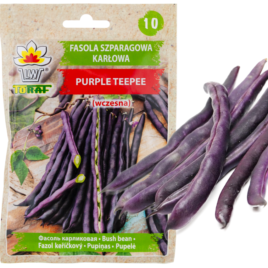 W6991 FASOLA SZPARAGOWA KARŁOWATA PURPLE TEEPEE NASIONA WARZYW FASOLI 30G