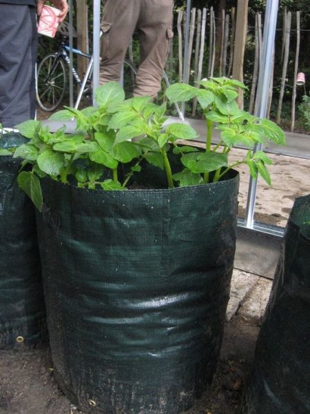 TM-00314 WOREK OGRODOWY torba do uprawy roślin, ziemniaków