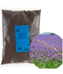 R8803 FACELIA BŁĘKITNA ODMIANA STALA 500G na poplon