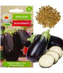 W1003 BAKŁAŻAN NASIONA OBERŻYNA BLACK BEAUTY FIOLETOWA GRUSZKA MIŁOŚCI 1G