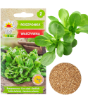 W1186 ROSZPONKA WARZYWNA NASIONA ROSZPONKI BOGATE W WITAMINY SAŁATA 1G