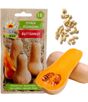 Z3036 Nasiona Dyni DYNIA PIŻMOWA BUTTERNUT nasiona warzyw BEZWŁÓKNISTA